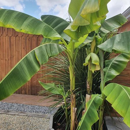 Lou Cachotte Apartment Le Teich Ngoại thất bức ảnh