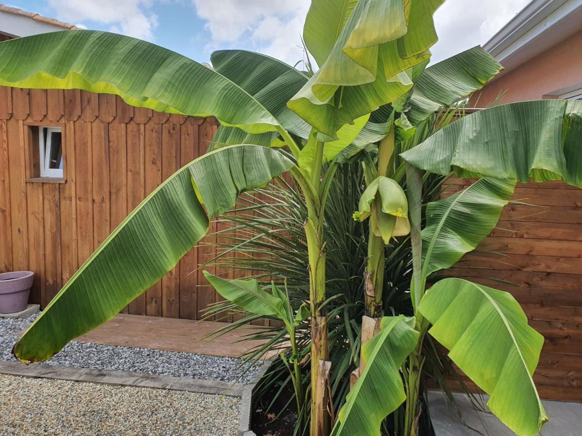 Lou Cachotte Apartment Le Teich Ngoại thất bức ảnh